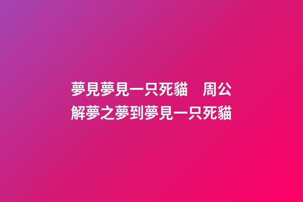 夢見夢見一只死貓　周公解夢之夢到夢見一只死貓